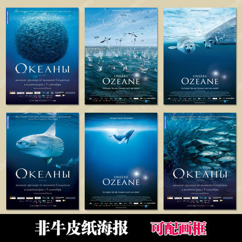 教资没有学历证书验证码